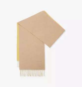 Двухцветный шарф из смеси шерсти и кашемира с вышитой анаграммой Loewe, мультиколор