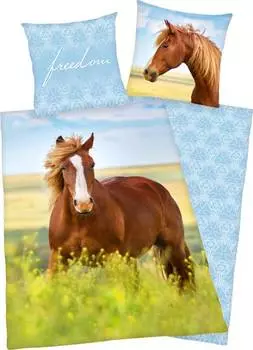 Двустороннее постельное белье 150444 2 шт. Herding, мультколор