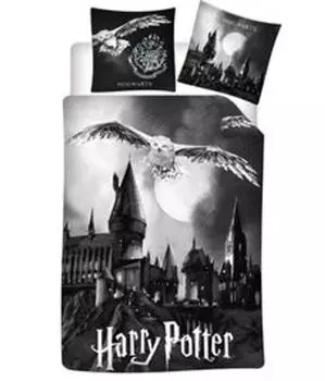 Двустороннее постельное белье Harry Potter Хогвартс 2 шт. 155 х 220 см Aymax