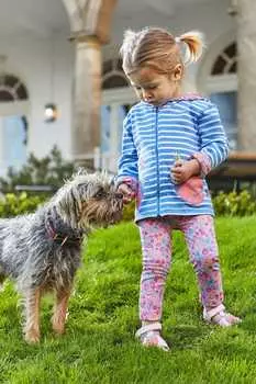 Двусторонняя толстовка из джерси с аппликацией Jojo Maman Bb, синий