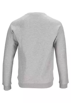 Джемпер RAGLAN Sissy-Boy, серый