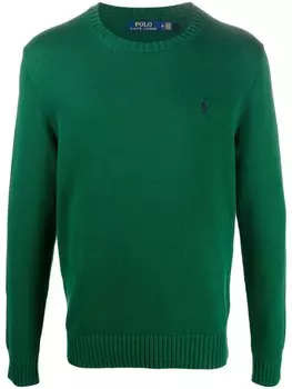 Джемпер с длинными рукавами и логотипом Polo Ralph Lauren, зеленый