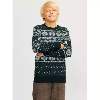 Джемпер с круглым вырезом для детей Jack & Jones «JJXMAS GABRIEL KNIT CREW NECK JNR» с рождественским узором Jack & Jones Junior, цвет Scarab