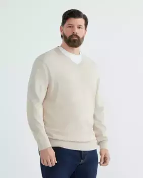 Джемпер с V-образным вырезом базовое мужское больших размеров Dustin, бежевый