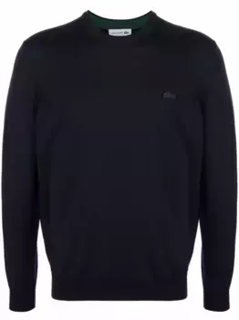Джемпер с вышитым логотипом Lacoste, синий