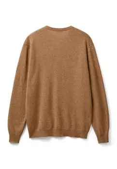 Джемпер V NECK IN PURE EDGES RGULAR FIT United Colors of Benetton, коричневый