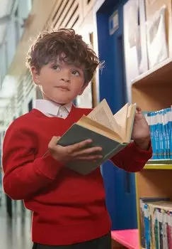 Джемпер вязаный SCHOOL V-NECK LONG SLEEVE Clarks, цвет red