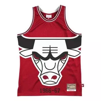 Джерси Mitchell & Ness 66-67