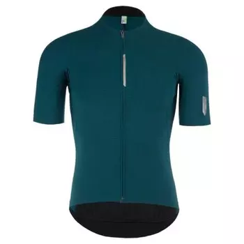 Джерси с коротким рукавом Q36.5 Pinstripe PRO, зеленый