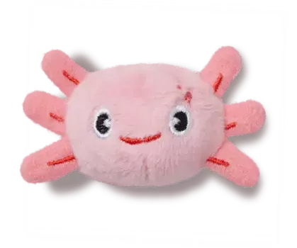 Джиббитсы Adjustable Axolotl Crocs