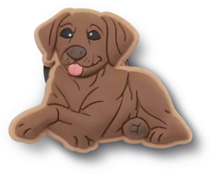 Джиббитсы Brown Lab Puppy Crocs