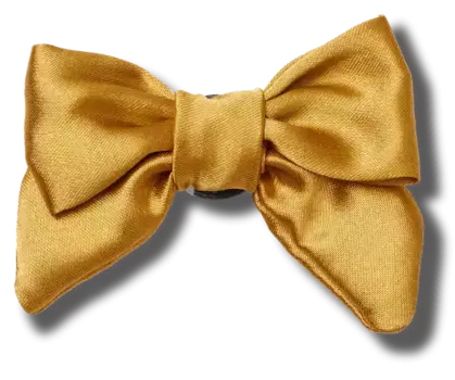 Джиббитсы Gold Bow Crocs