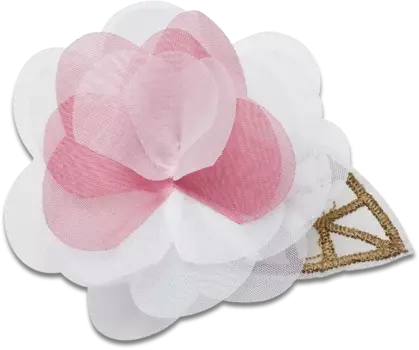 Джиббитсы Magical Rosette Crocs