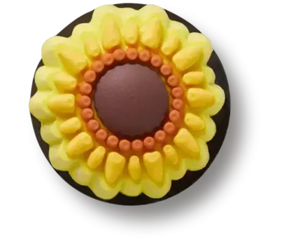 Джиббитсы Sunflower Crocs