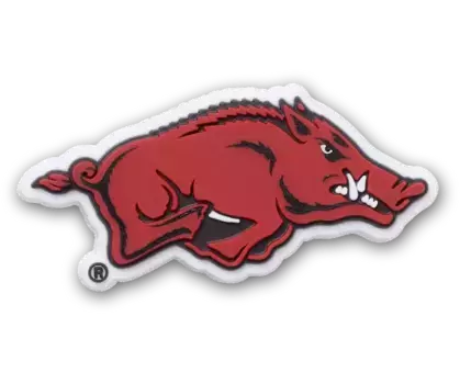 Джиббитсы University of Arkansas Crocs
