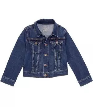 Джинсовая куртка для девочек Polo Ralph Lauren Little Girls 2T-6X, синий