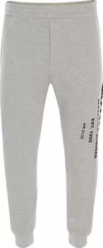 Джоггеры Alexander McQueen Graffiti Joggers 'Pale Grey/Black', серый