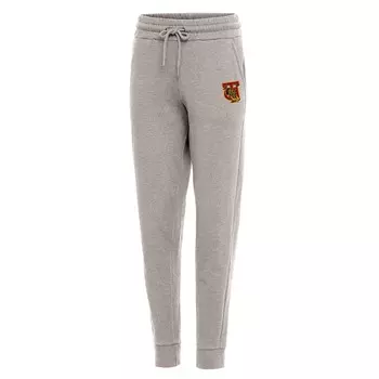Джоггеры Antigua Tuskegee Golden Tigers, серый