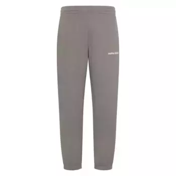 Джоггеры Calvin Klein Jeans Monologo 350 Terry Bauhaus EMB, серый