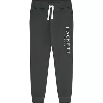 Джоггеры Hackett HK580901, зеленый