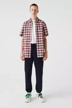 Джоггеры Lacoste, синий