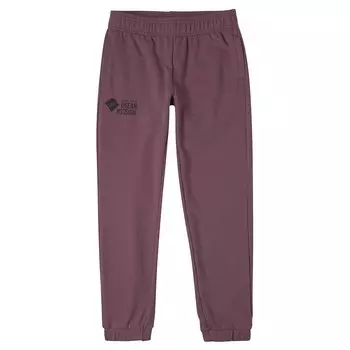 Джоггеры Oneill Atlantic, фиолетовый