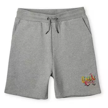Джоггеры Oneill Surf Dude Shorts, серый