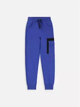 Джоггеры стандартной посадки Coccodrillo, синий