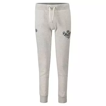 Джоггеры Superdry Pride In Craft, серый
