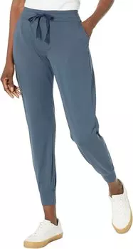 Джоггеры Timehop Toad&Co, цвет True Navy Stripe