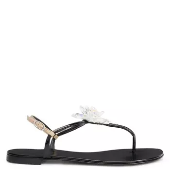 Джузеппе Занотти Летиция Giuseppe Zanotti, черный