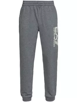 Ea7 Emporio Armani джоггеры с логотипом, серый