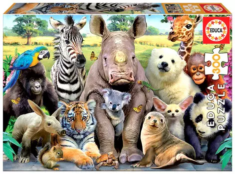 Educa, пазл, Class Photo, 300 шт.