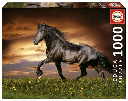 Educa, Пазл, Рысистая лошадь, 1000 шт.