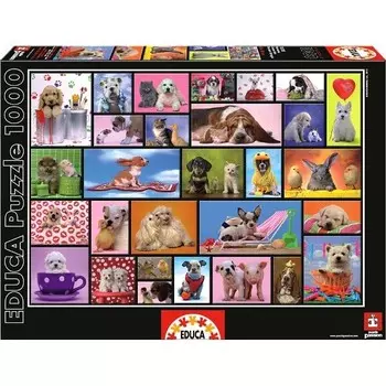 Educa, пазлы, Общие моменты, 1000 шт.