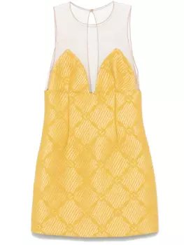 Elisabetta Franchi платье мини из рафии и тюля, желтый