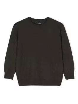 Emporio Armani Kids джемпер вязки интарсия с логотипом, зеленый