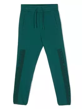 Emporio Armani спортивные брюки с тисненым логотипом, зеленый
