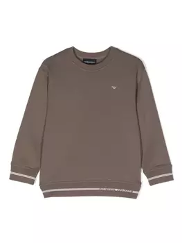 Emporio Armani толстовка с вышитым логотипом, коричневый