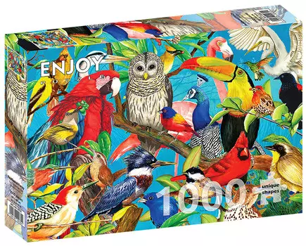 Enjoy, Пазл - Разноцветные птички, 1000 шт.