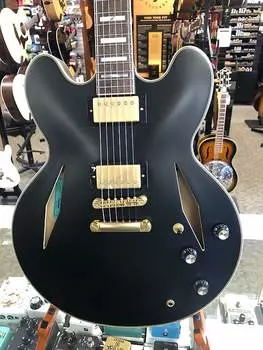 Epiphone Эмили Вульф Шератон 2021 Атласное черное дерево Emily Wolfe Sheraton