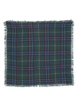 Eric Bompard твиловый шарф с принтом, синий