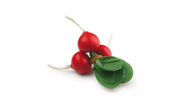 Erzi Редис в деревянной связке