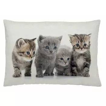 Etrea Хлопковая декоративная подушка «Четыре котенка», серая, 40 x 40 см — Декоративный чехол на подушку без наполнителя — Стандартный чехол на подушку для дивана, гостиной, спальни, на молнии Etrea Himmlische Qualitt