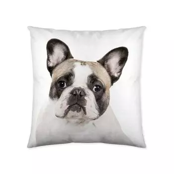 Etrea Хлопковая декоративная подушка с собакой, бульдогом, белая, 40 x 40 см - Декоративный чехол на подушку без наполнителя - Стандартный чехол на подушку Oekotex для дивана, гостиной, спальни, на молнии Etrea Himmlische Qualitt