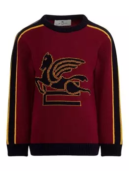 ETRO KIDS джемпер Pegaso