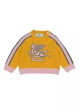 ETRO KIDS джемпер Pegaso, желтый
