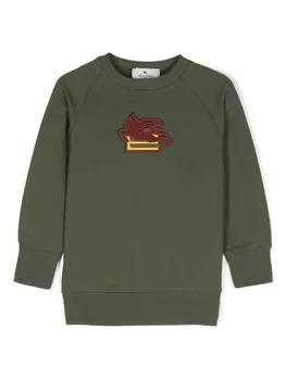 ETRO KIDS хлопковая толстовка с вышивкой Pegaso, зеленый