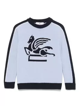 ETRO KIDS Pegaso-жаккардовый свитер, синий