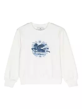 ETRO KIDS толстовка с вышивкой Pegaso, серый